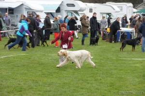 11026167_682185895240790_4627614189812678027_n