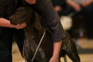 11263764_10155714447730634_869271062_n