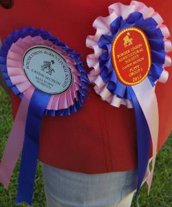 11418304_10153406492309793_1664602167_n