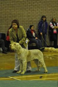 1450130_10153590558553448_3783983476930945012_n