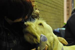 1488069_10153590558773448_5476796008274616494_n