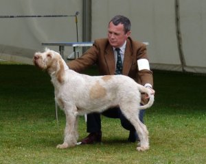 28589_392069723052_174705_n