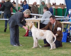 39732_411507338052_951109_n