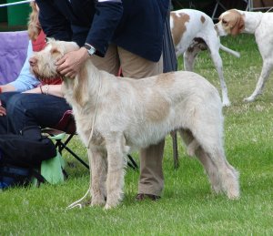 39732_411507343052_4008786_n