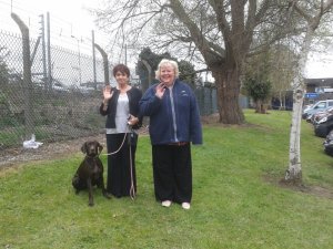 542925_10151779598250634_653854391_n